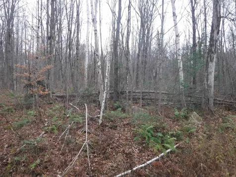 4b Enman Drive Jefferson NH 03583