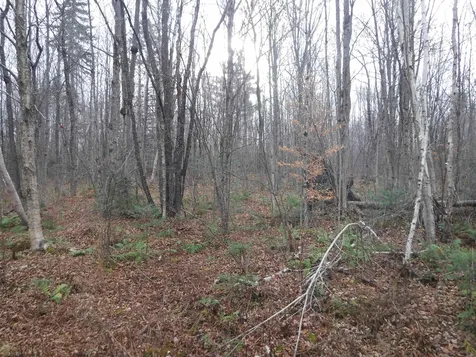 4b Enman Drive Jefferson NH 03583
