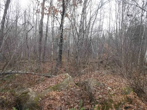 4b Enman Drive Jefferson NH 03583