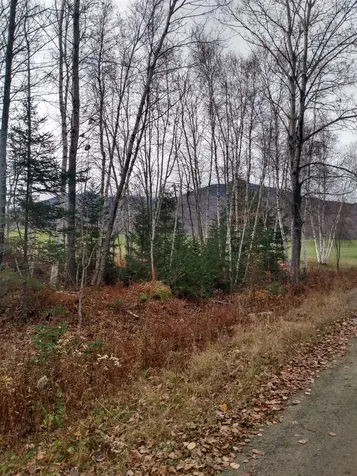 4b Enman Drive Jefferson NH 03583