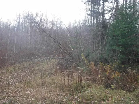 4b Enman Drive Jefferson NH 03583