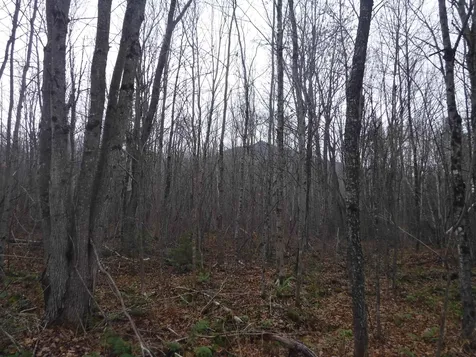 4b Enman Drive Jefferson NH 03583