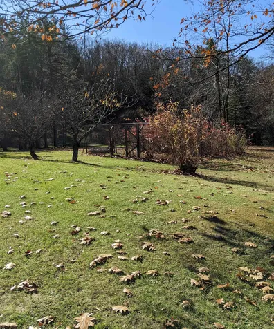 56 Page Hill Road New Ipswich NH 03071