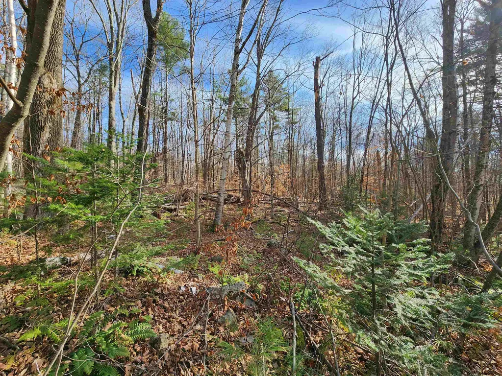 000 Haverhill Lane Haverhill NH 03785