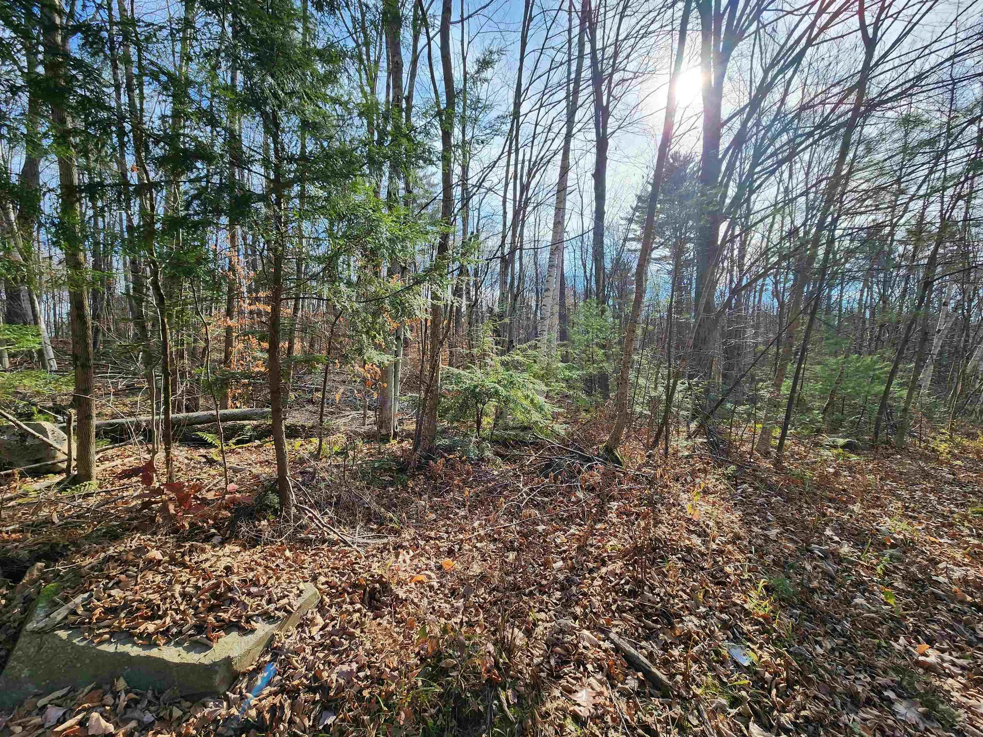 000 Haverhill Lane Haverhill NH 03785
