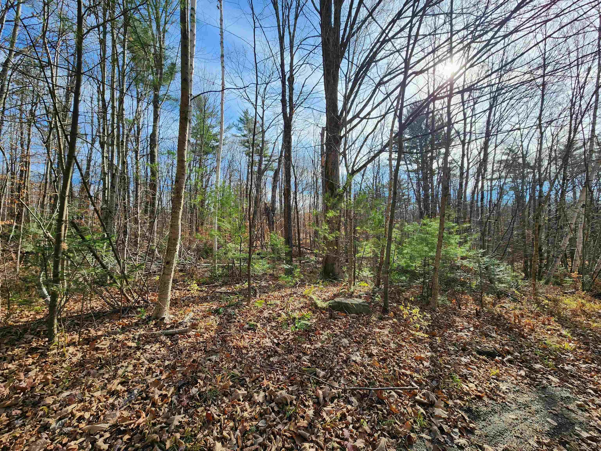 000 Haverhill Lane Haverhill NH 03785
