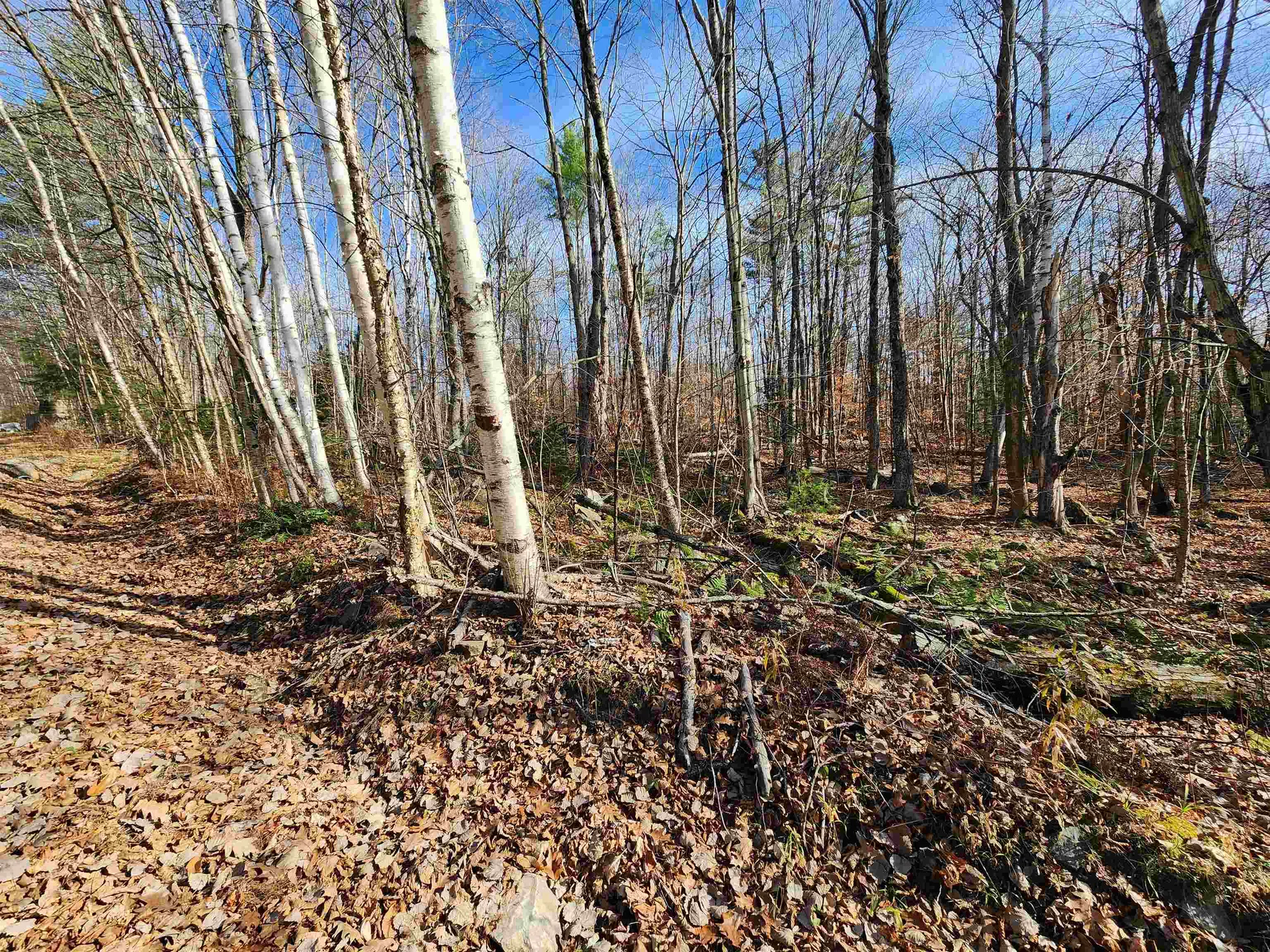 000 Haverhill Lane Haverhill NH 03785