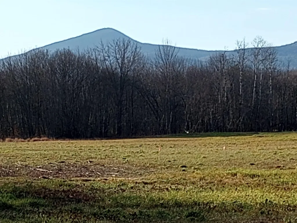 8 Union Hill Road Fryeburg ME 04037