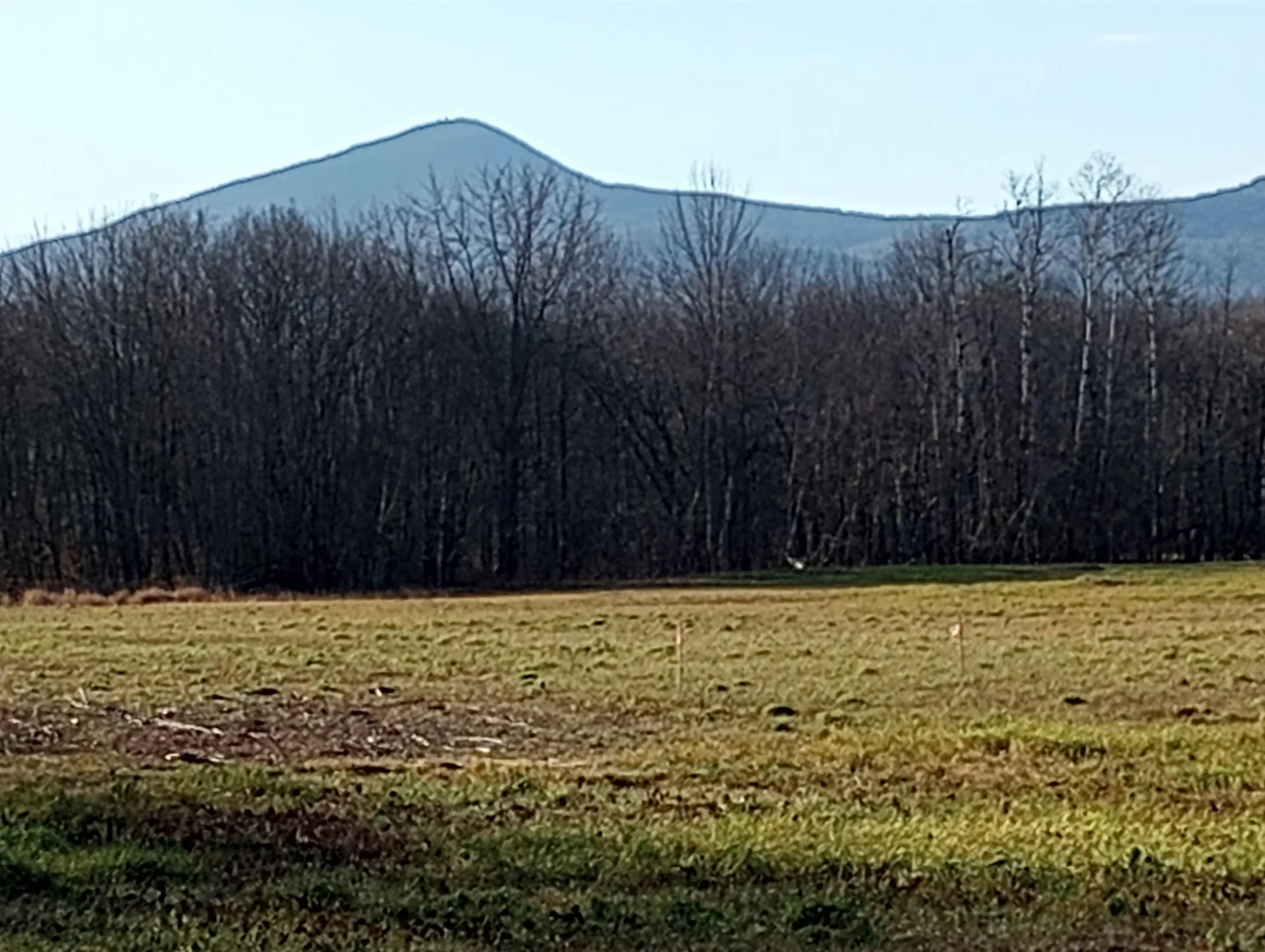 8 Union Hill Road Fryeburg ME 04037