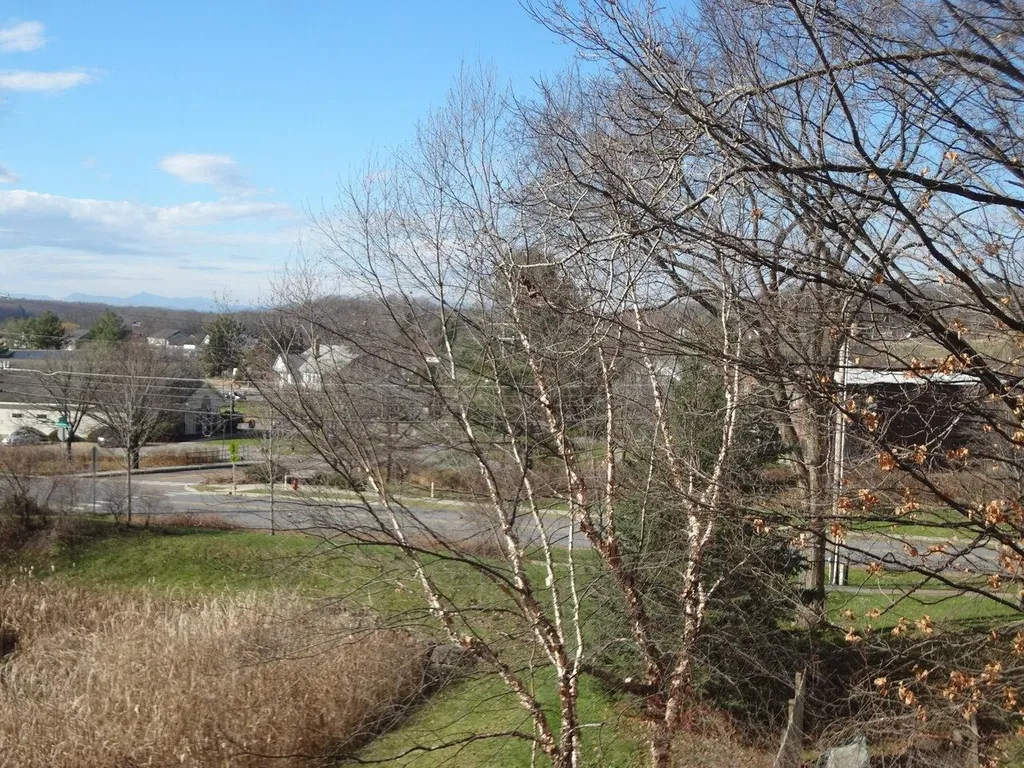 41 Lilac Lane Hinesburg VT 05461