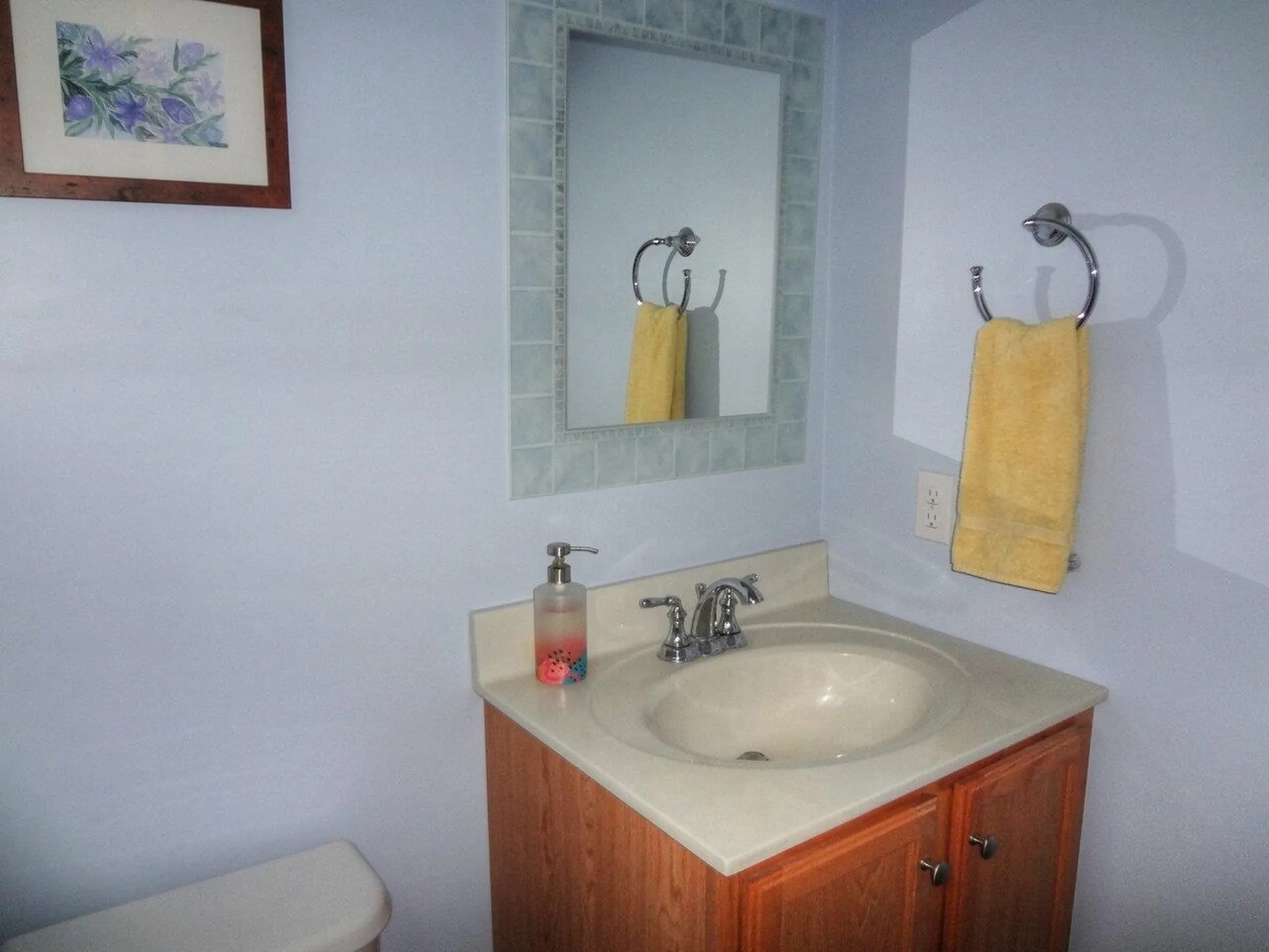 41 Lilac Lane Hinesburg VT 05461