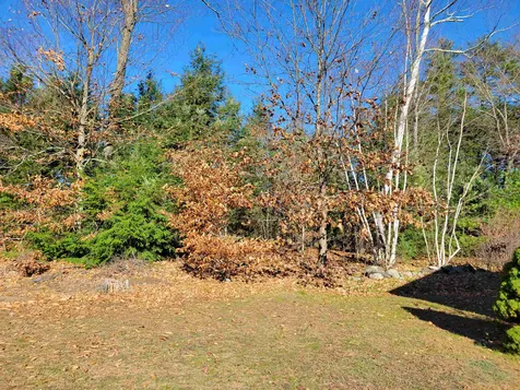 65 Hub Hollow Road Danville NH 03819