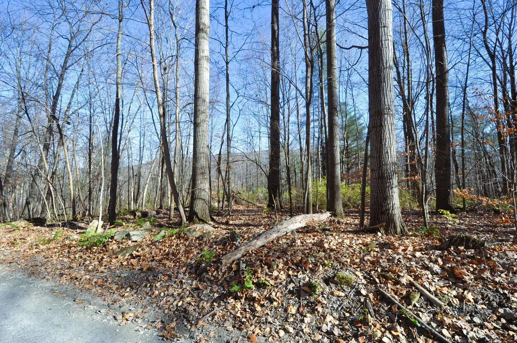 25 Raymond Road Danby VT 05739