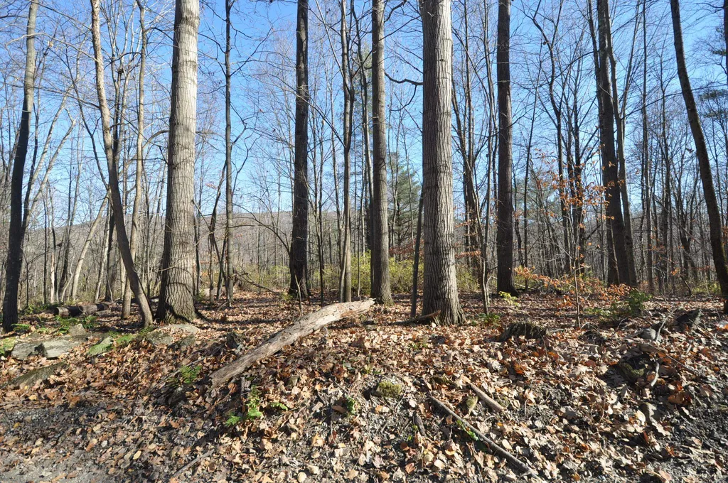 25 Raymond Road Danby VT 05739
