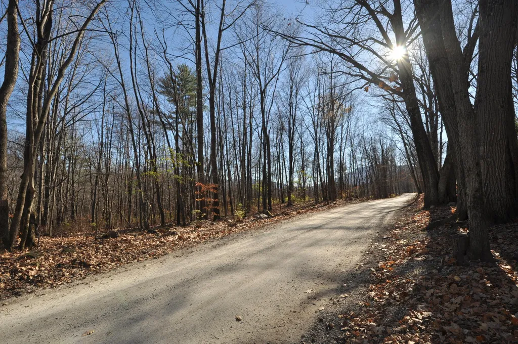 25 Raymond Road Danby VT 05739