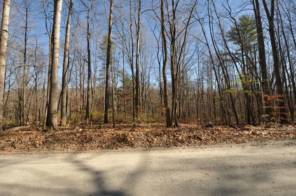 25 Raymond Road Danby VT 05739