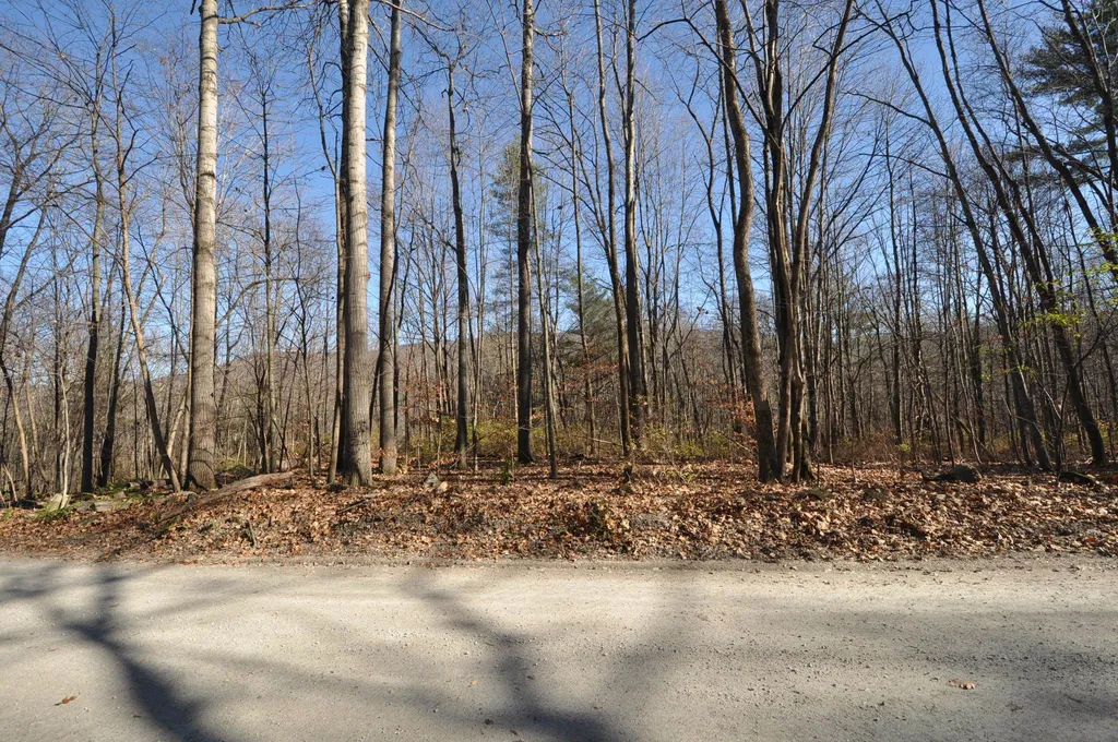 25 Raymond Road Danby VT 05739