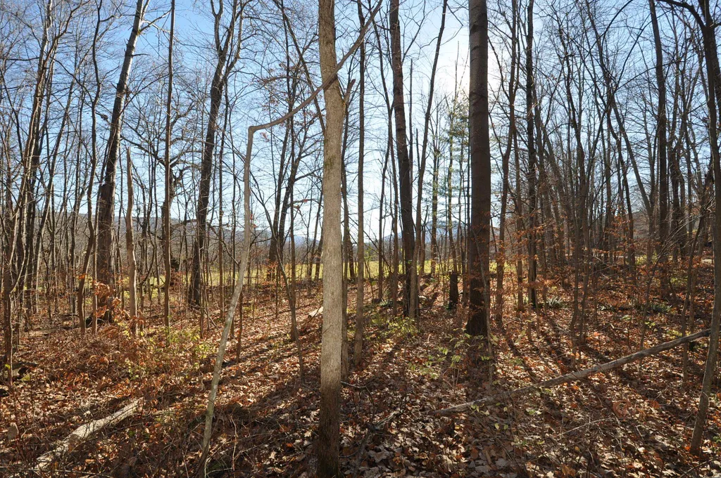 25 Raymond Road Danby VT 05739