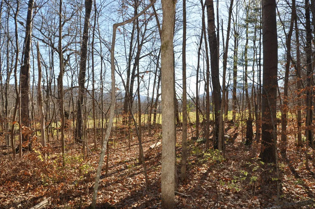 25 Raymond Road Danby VT 05739