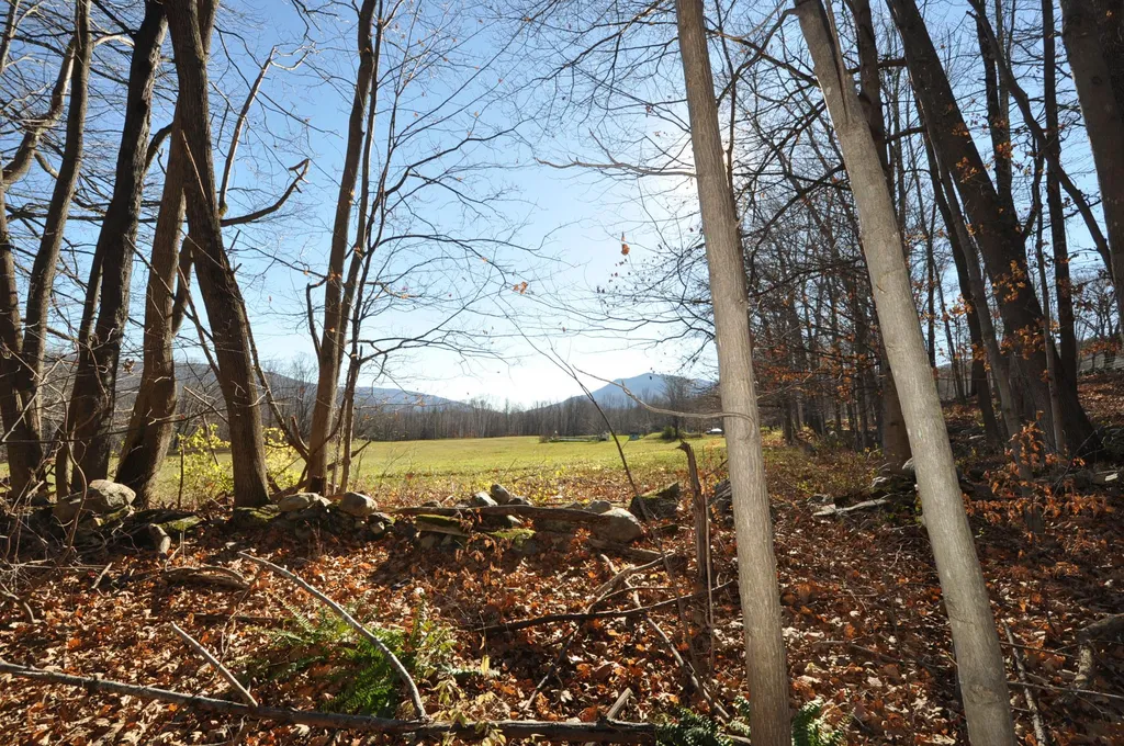 25 Raymond Road Danby VT 05739