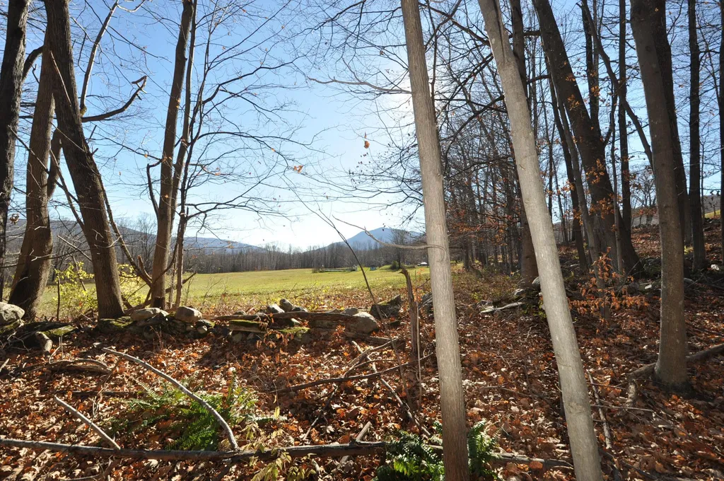 25 Raymond Road Danby VT 05739