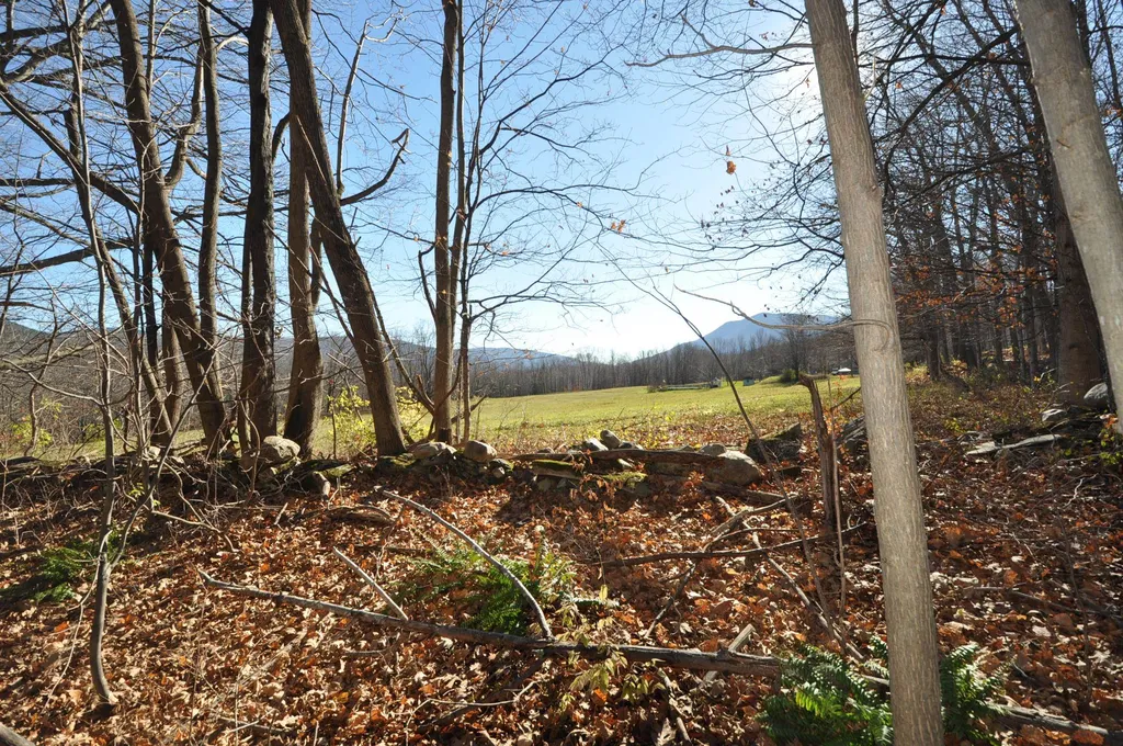 25 Raymond Road Danby VT 05739