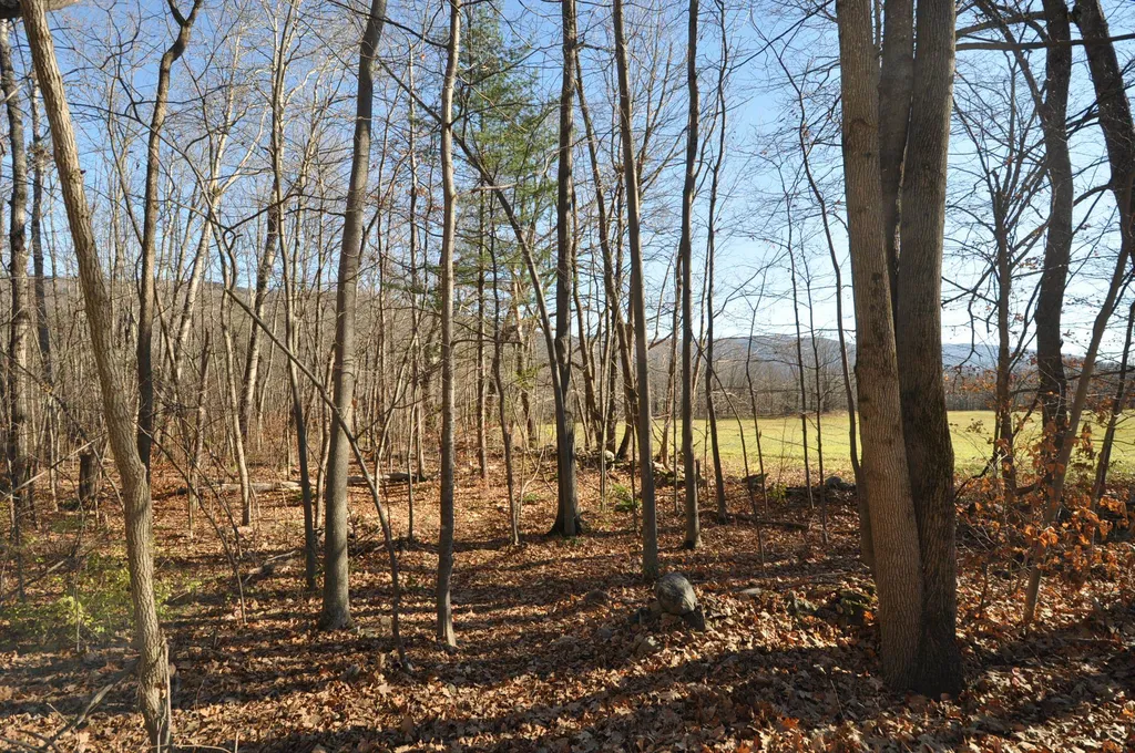 25 Raymond Road Danby VT 05739