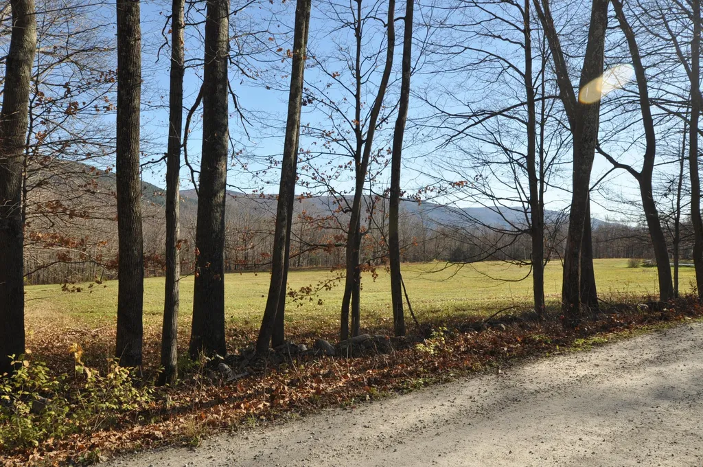 25 Raymond Road Danby VT 05739