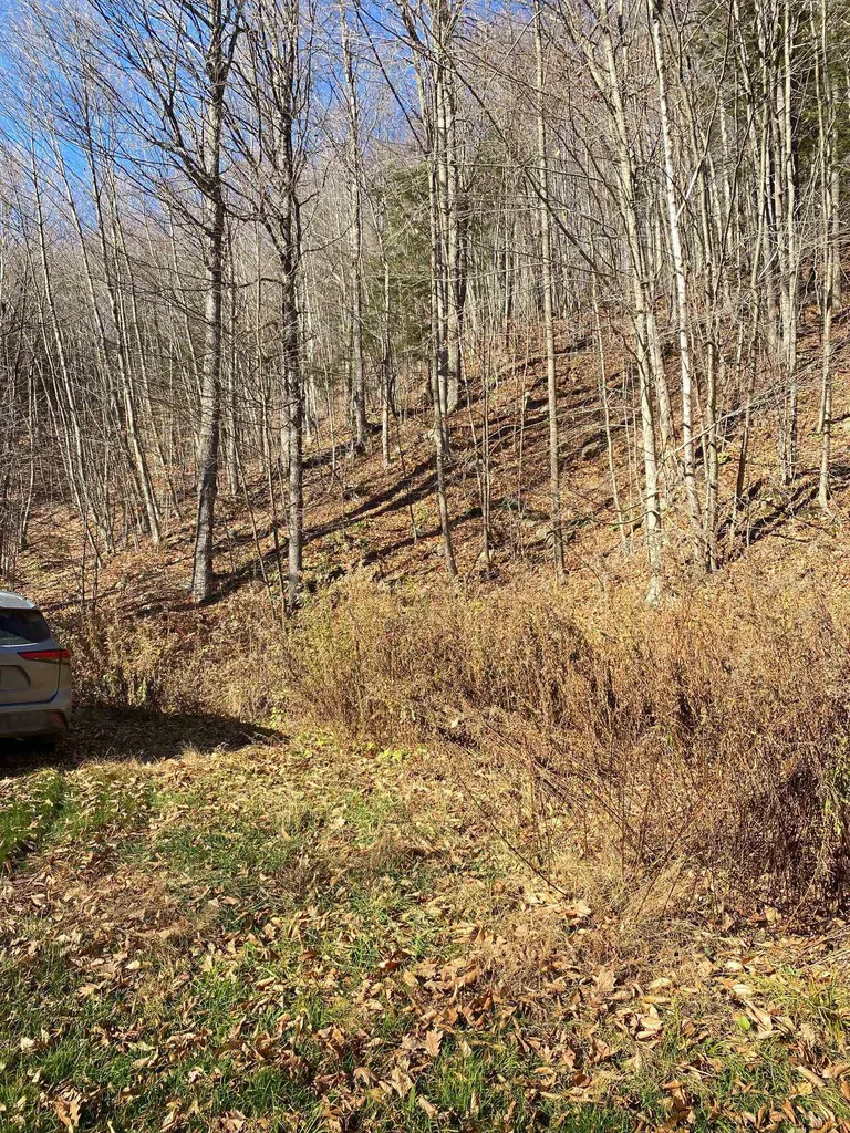 0 Route 9 Marlboro VT 05344