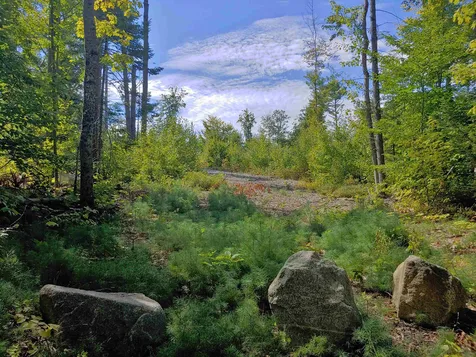 Lot 14 Sodom Road Tuftonboro NH 03816