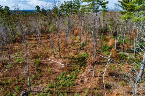 Lot 14 Sodom Road Tuftonboro NH 03816