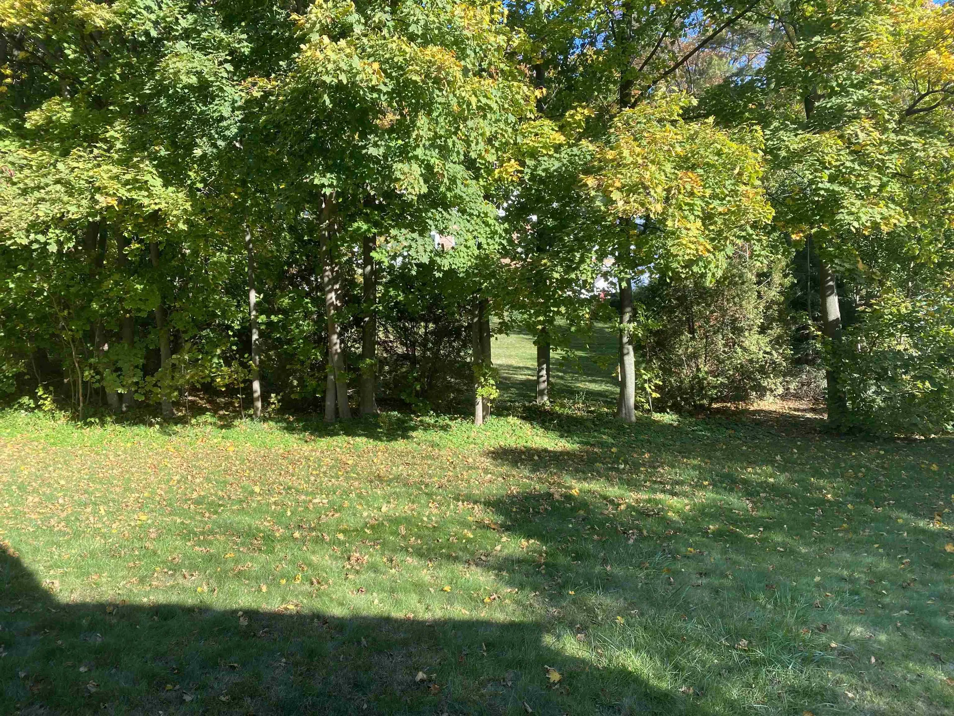 18 Edgewood Lane Burlington VT 05401