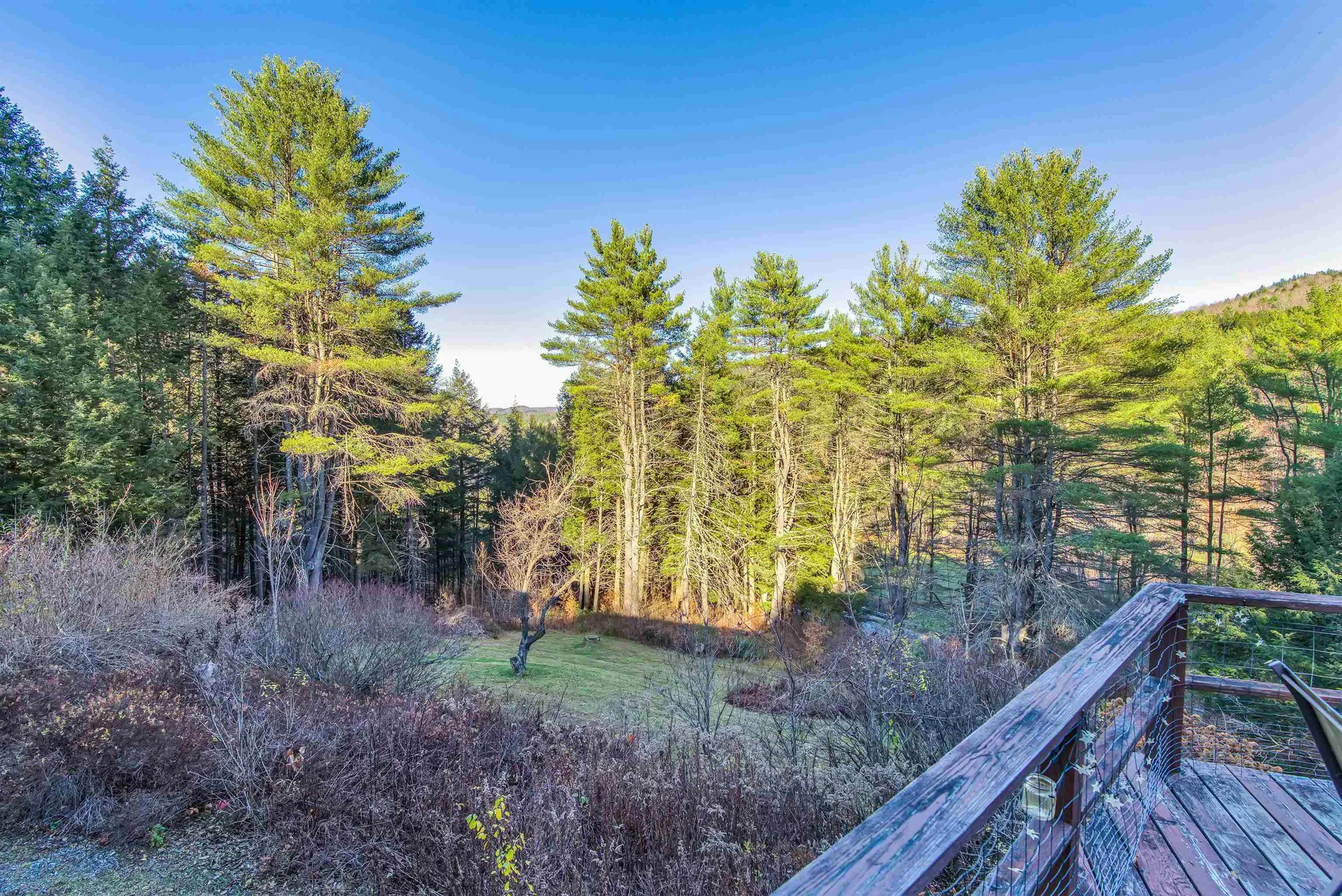 1782 South Road Woodstock VT 05091