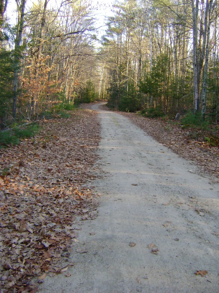00 Albert Street Moultonborough NH 03254