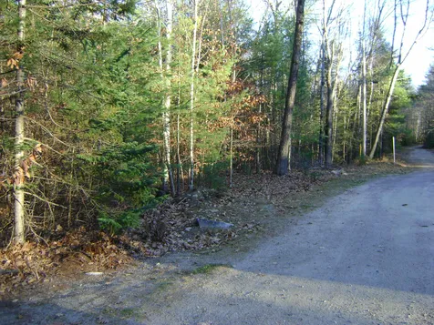 00 Albert Street Moultonborough NH 03254
