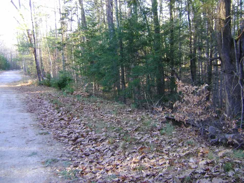00 Albert Street Moultonborough NH 03254