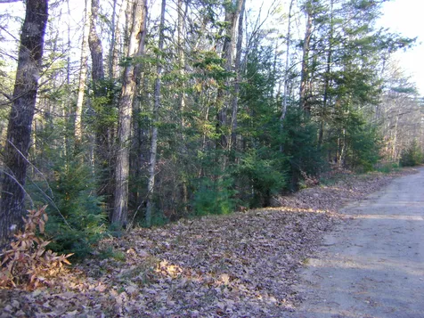 00 Albert Street Moultonborough NH 03254