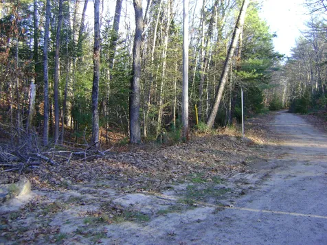 00 Albert Street Moultonborough NH 03254