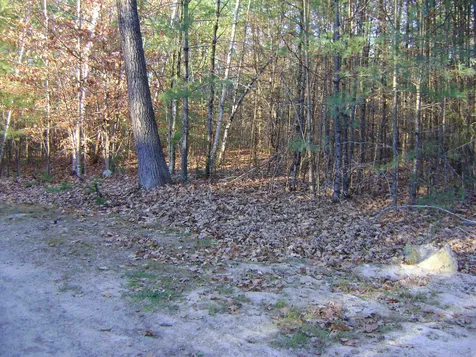 00 Albert Street Moultonborough NH 03254