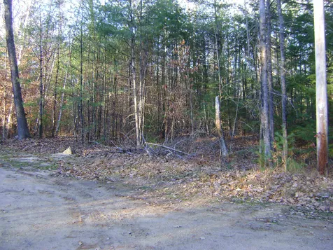 00 Albert Street Moultonborough NH 03254