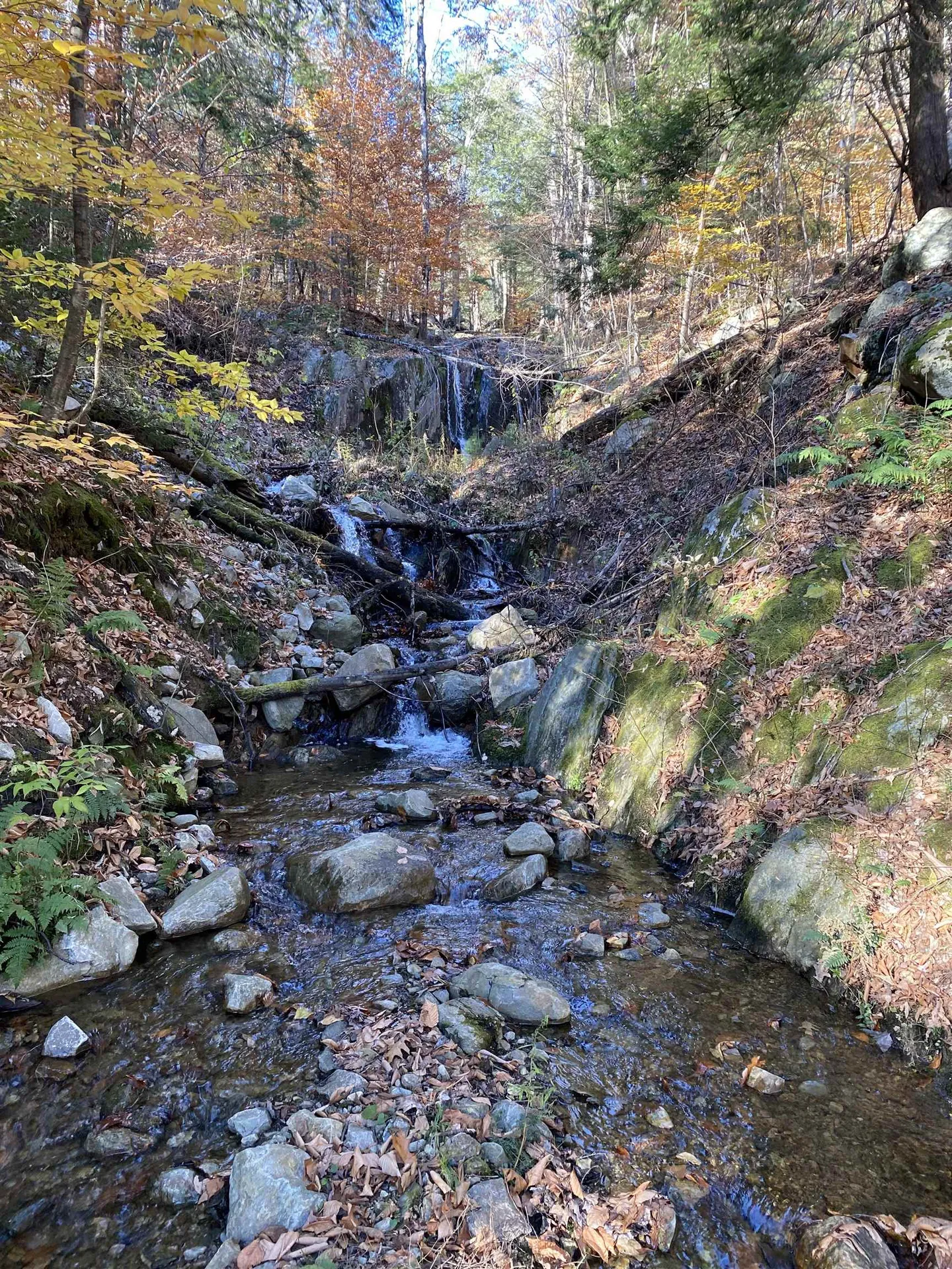 1156 Bear Mountain Road Wallingford VT 05773