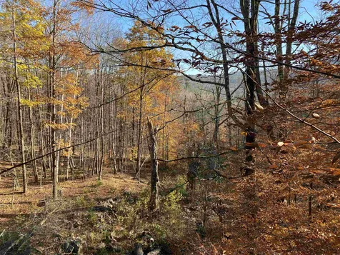 1156 Bear Mountain Road Wallingford VT 05773