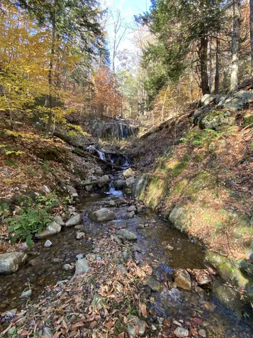 1156 Bear Mountain Road Wallingford VT 05773