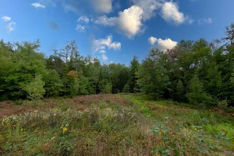 73 Brookside Lane Danbury NH 03230