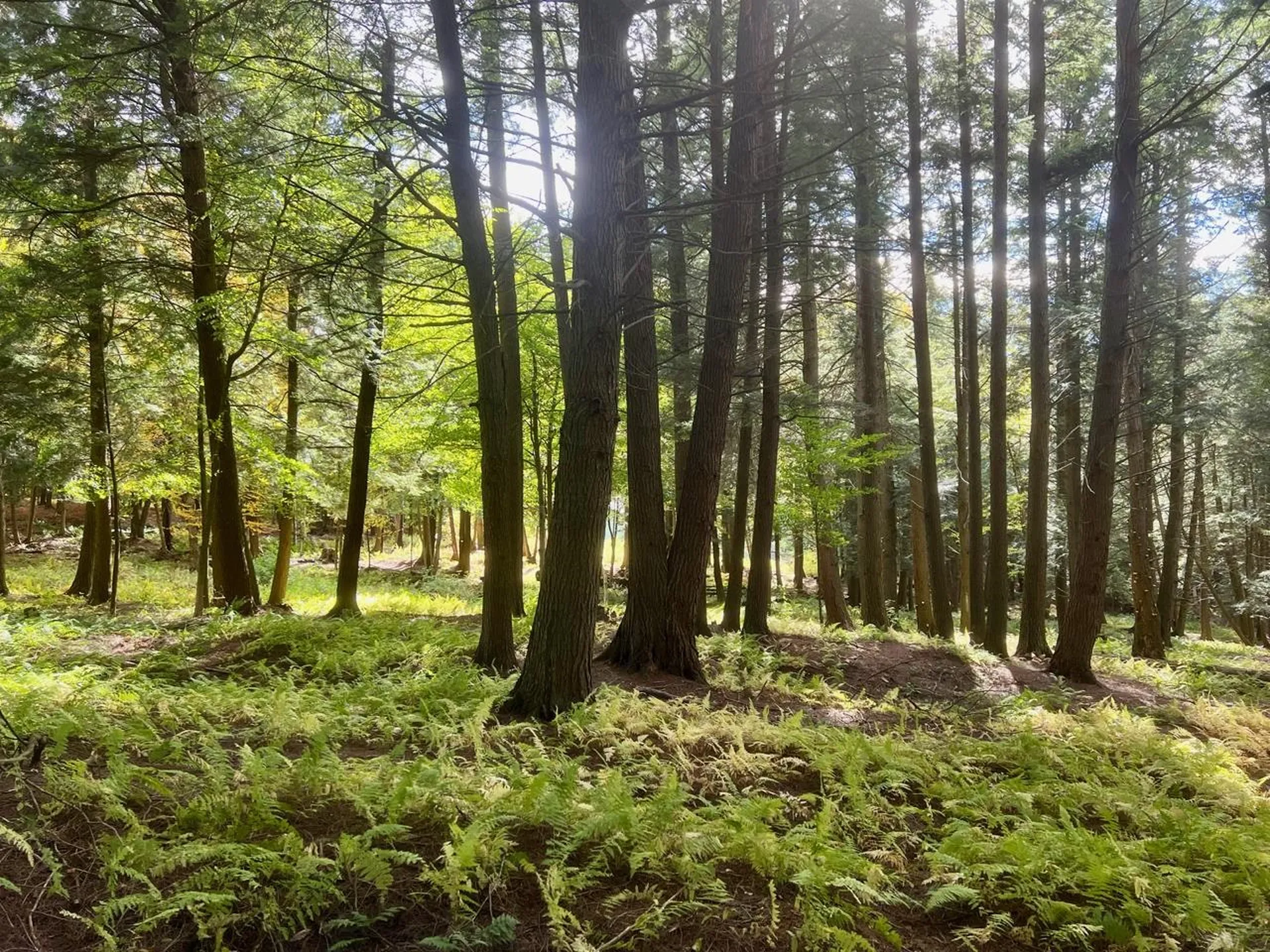 1025 Weeks Hill Road Stowe VT 05672