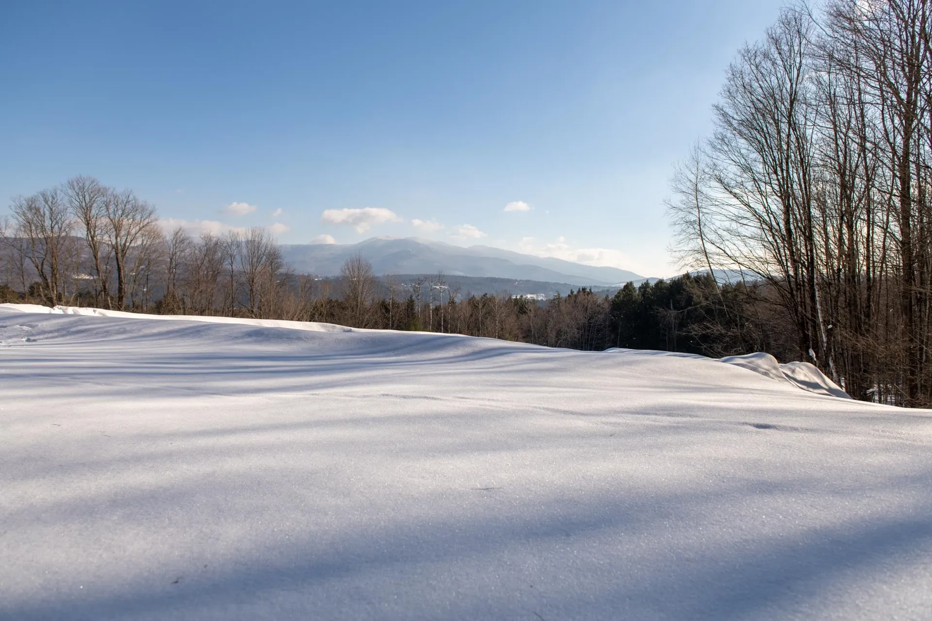 1025 Weeks Hill Road Stowe VT 05672