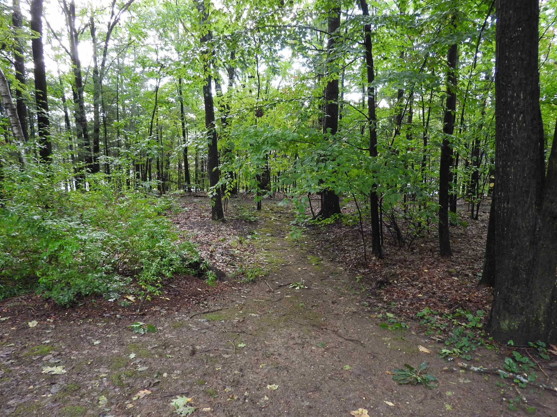 40 Dwinell Drive Concord NH 03301