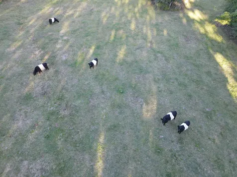 310 Exeter Road Hampton Falls NH 03844