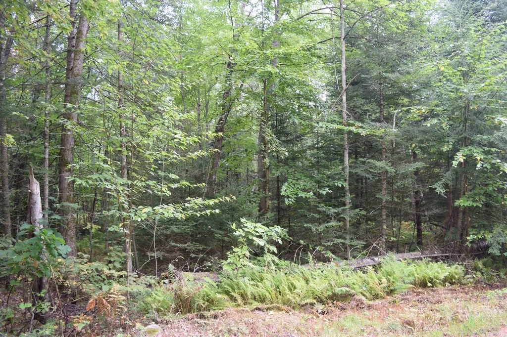 Pawtuckaway Road Haverhill NH 03765