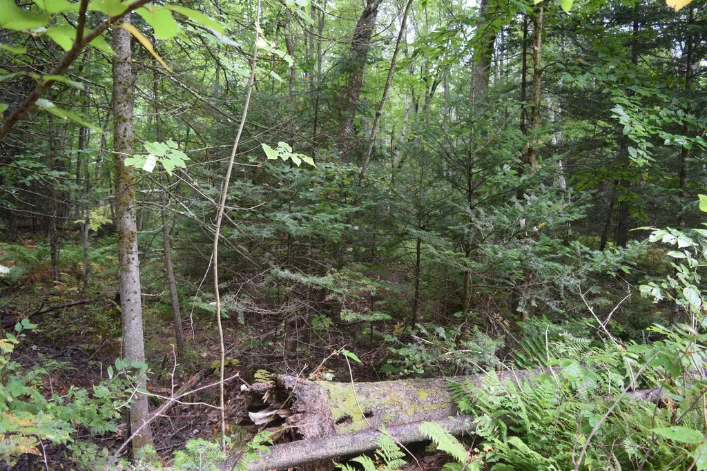 Pawtuckaway Road Haverhill NH 03765